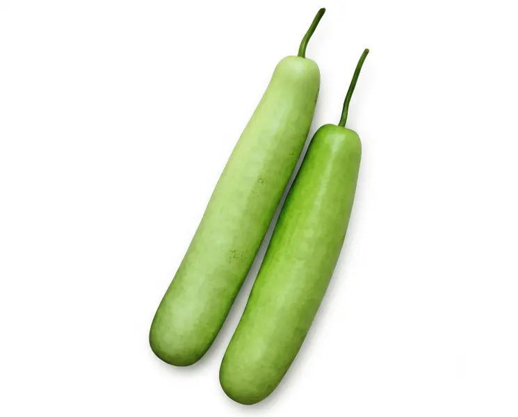 लौकी | Bottle Gourd 1 Kg