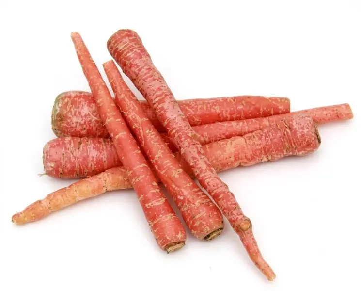गाजर | Carrot | 1 Kg