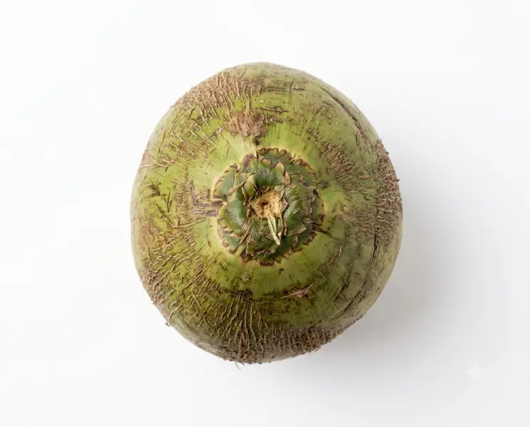 नारियल पानी | Coconut Water | 1 Piece