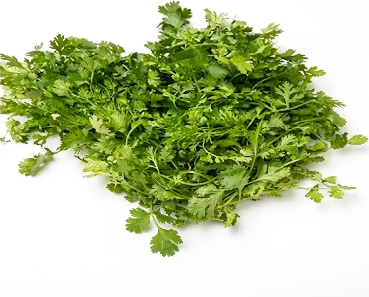 धनिया पत्ती | Coriander Leaves | 50 Gm