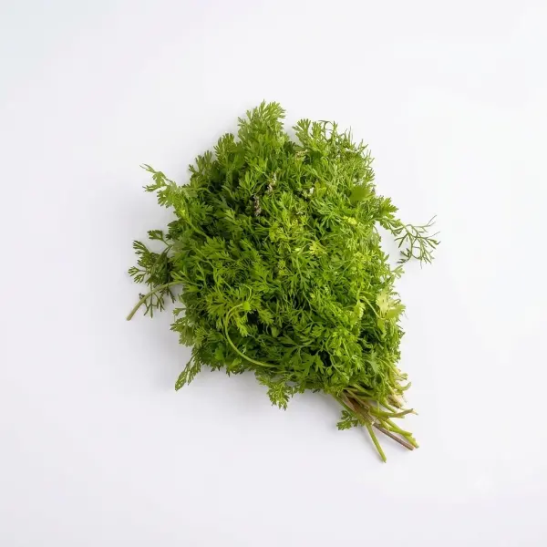 धनिया पत्ती | Coriander Leaves | 50 Gm