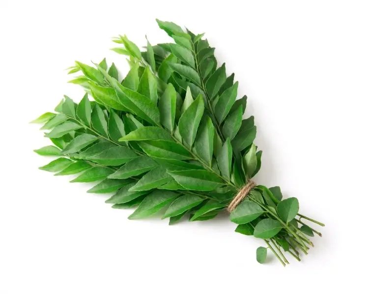 करी पत्ता | Curry Leaves | 200 Gm