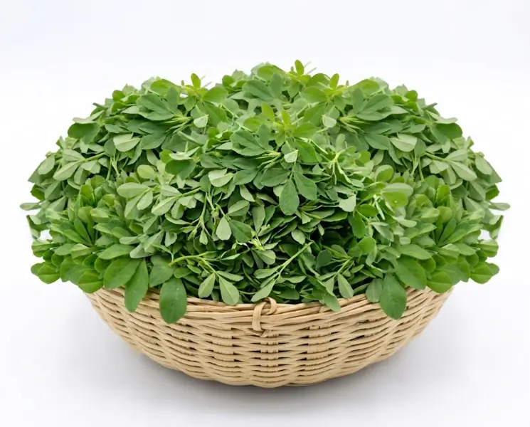 मेथी | Fenugreek | 1 KG