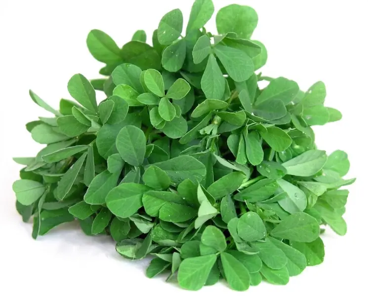 मेथी | Fenugreek | 1 KG