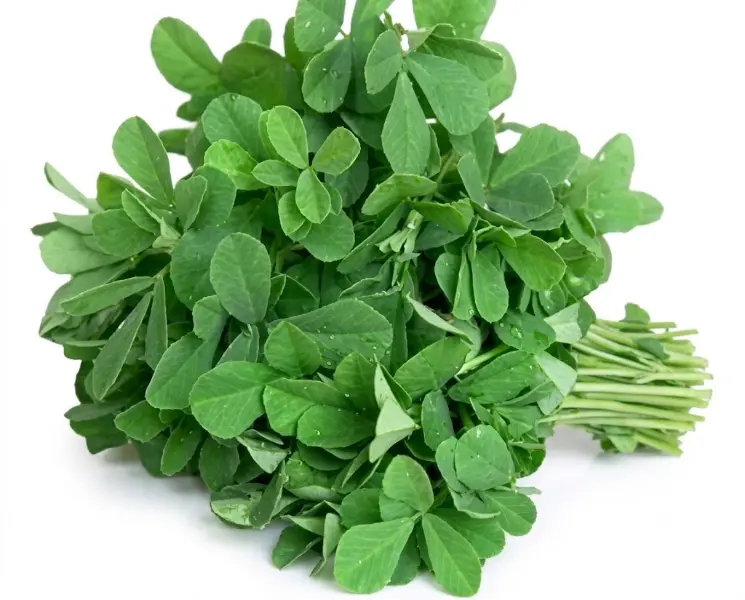 मेथी | Fenugreek | 1 KG