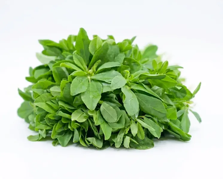 मेथी | Fenugreek | 500 Gm