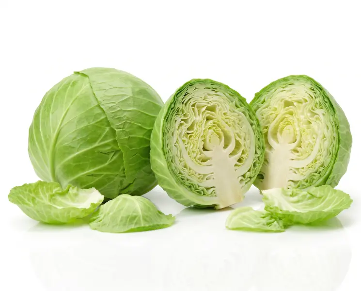 पत्ता गोभी | Fresh Cabbage | 1 Kg