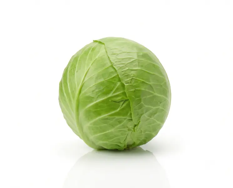 पत्ता गोभी | Fresh Cabbage | 500 Gm