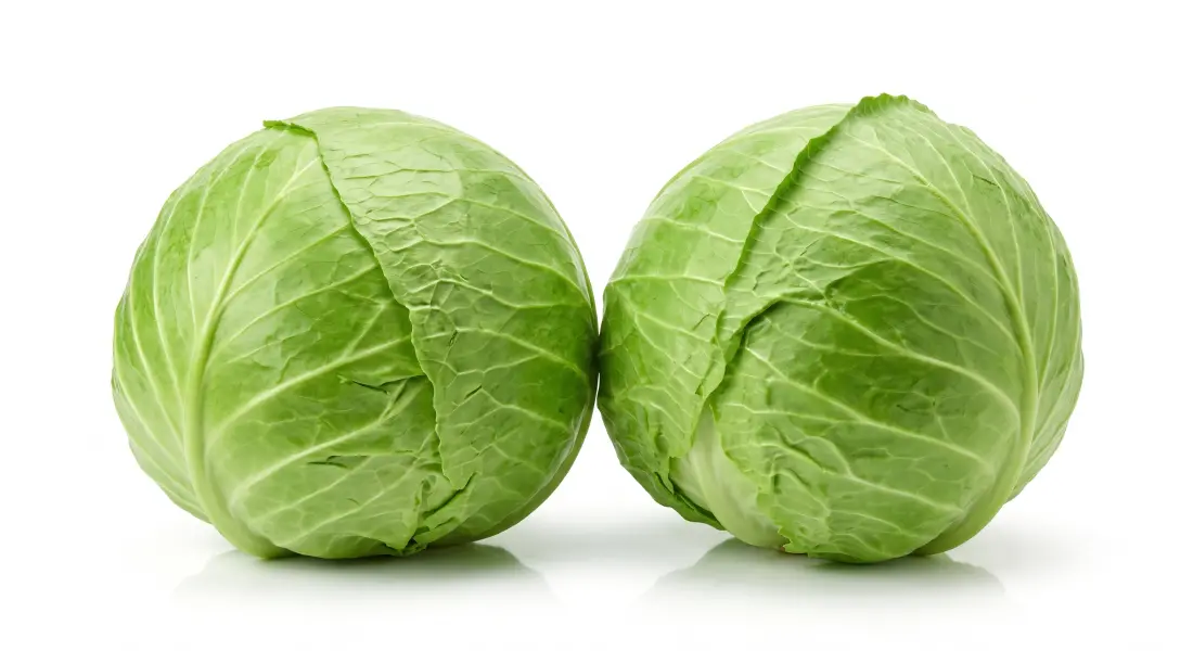 पत्ता गोभी | Fresh Cabbage | 500 Gm