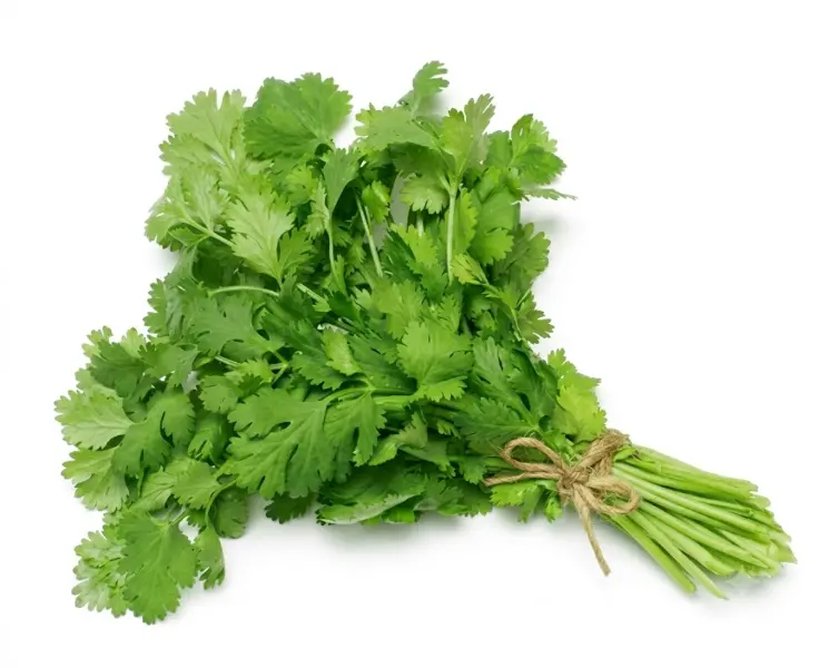 हरा धनिया पत्ती | Green Coriander Leaves | 250 Gm