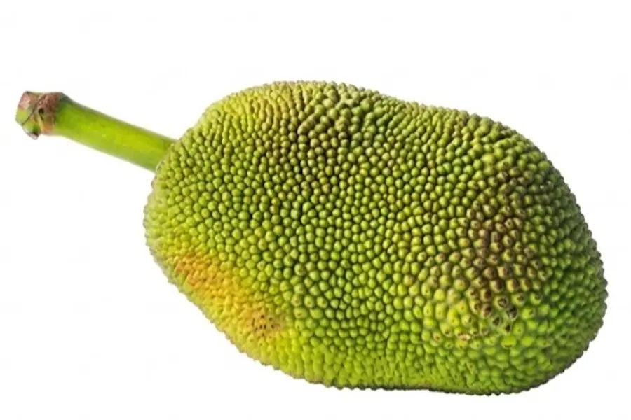कटहल | Jackfruit | 1 Kg