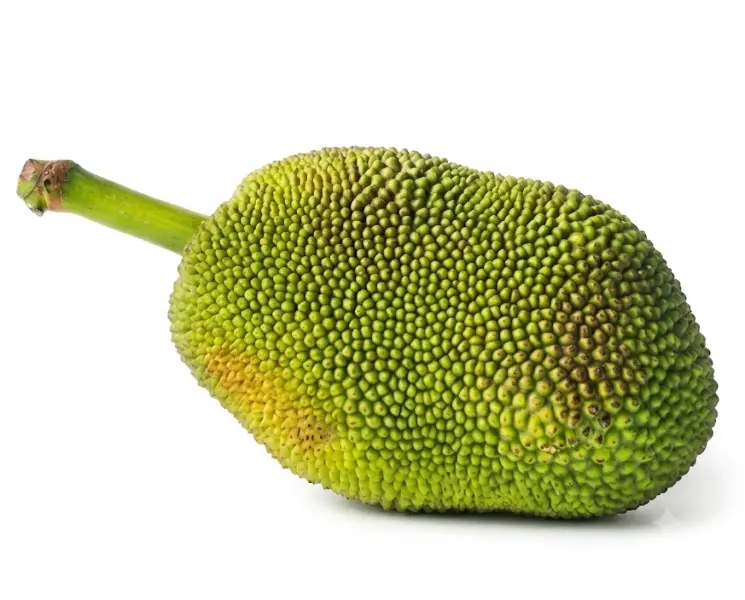 कटहल | Jackfruit | 1 Kg