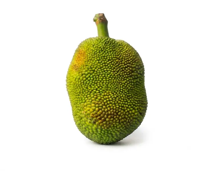 कटहल | Jackfruit | 1 Kg