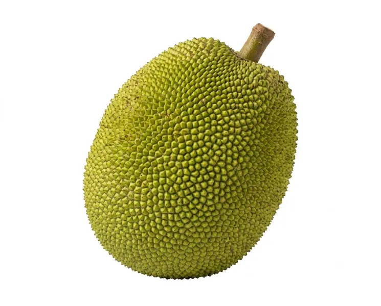 कटहल | Jackfruit | 500 Gm