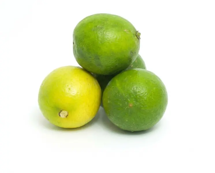 नींबू | Lemon | 100 Gm