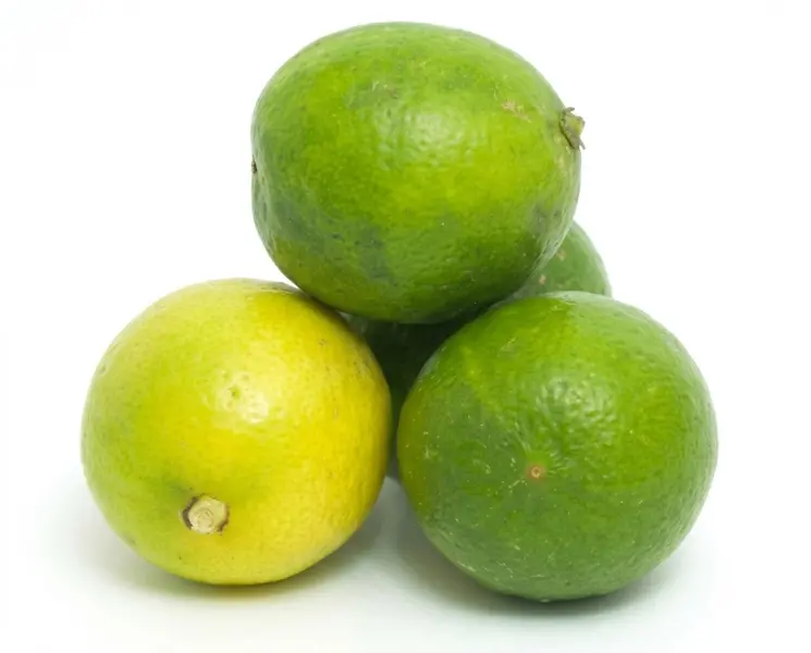 नींबू | Lemon | 100 Gm