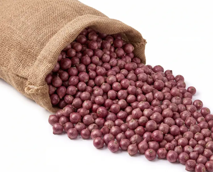 प्याज | Onion | 1 KG