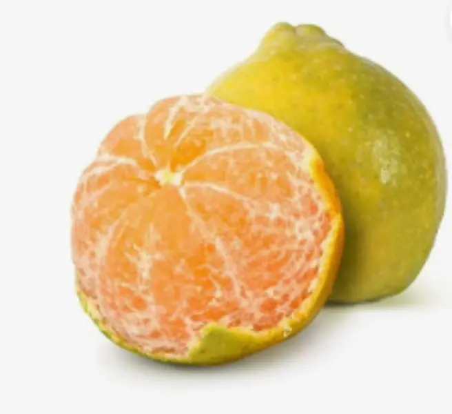 संतरा | Orange | 500 Gm