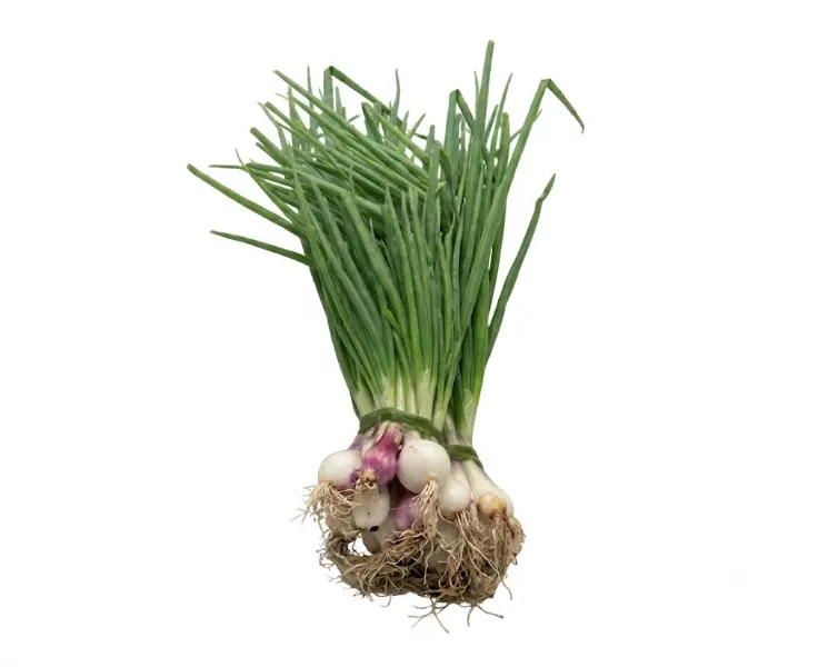 हरी प्याज | Spring Onion | 250 Gm