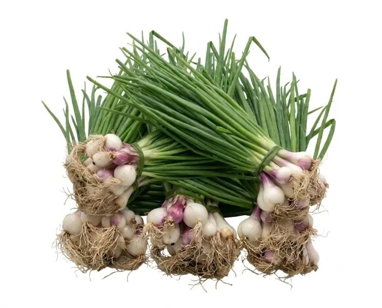 हरी प्याज | Spring Onion | 500 Gm