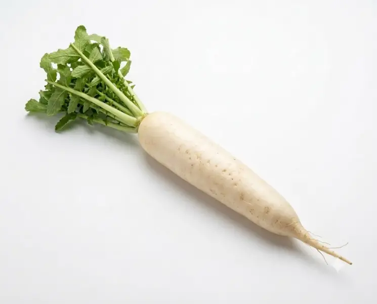 मूली | White Radish | 1 Pc